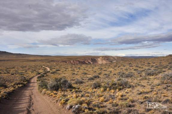 Em pleno 'sertão patagônico', a caminho da Cueva de Las Manos, na Argentina